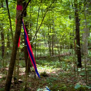 Photo #37 of SOLD property in Off Townsville Road - Lot 4B, Bullock, NC 18.8 acres