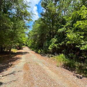Photo #42 of SOLD property in Off Townsville Road - Lot 4B, Bullock, NC 18.8 acres