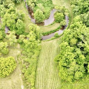 Photo #85 of SOLD property in 1424 Bottom Creek Ln, Bent Mountain, VA 26.0 acres