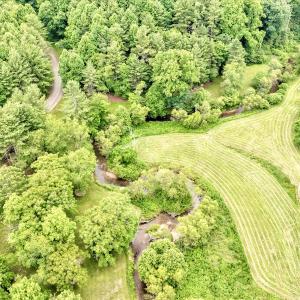 Photo #86 of SOLD property in 1424 Bottom Creek Ln, Bent Mountain, VA 26.0 acres
