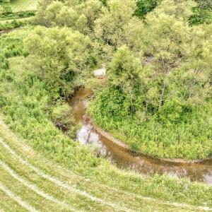 Photo #87 of SOLD property in 1424 Bottom Creek Ln, Bent Mountain, VA 26.0 acres