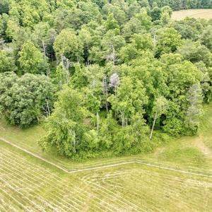 Photo #91 of SOLD property in 1424 Bottom Creek Ln, Bent Mountain, VA 26.0 acres
