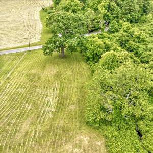 Photo #94 of SOLD property in 1424 Bottom Creek Ln, Bent Mountain, VA 26.0 acres