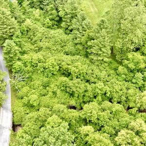Photo #96 of SOLD property in 1424 Bottom Creek Ln, Bent Mountain, VA 26.0 acres