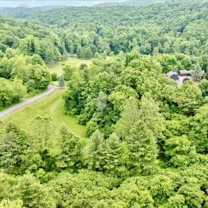 Photo #98 of SOLD property in 1424 Bottom Creek Ln, Bent Mountain, VA 26.0 acres