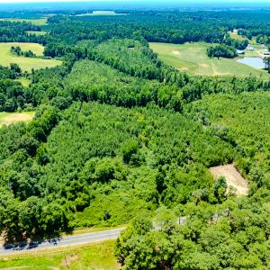 Photo #2 of SOLD property in Off McLean Chapel Church Rd, Bunnlevel, NC 37.4 acres