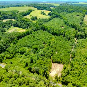Photo #12 of SOLD property in Off McLean Chapel Church Rd, Bunnlevel, NC 37.4 acres