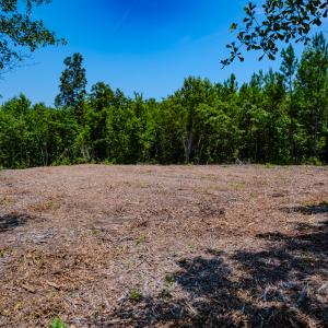 Photo #14 of SOLD property in Off McLean Chapel Church Rd, Bunnlevel, NC 37.4 acres
