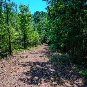 Photo #15 of SOLD property in Off McLean Chapel Church Rd, Bunnlevel, NC 37.4 acres