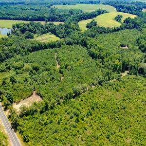 Photo #16 of SOLD property in Off McLean Chapel Church Rd, Bunnlevel, NC 37.4 acres