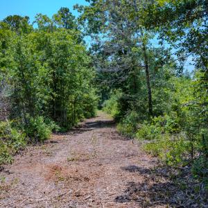 Photo #18 of SOLD property in Off McLean Chapel Church Rd, Bunnlevel, NC 37.4 acres