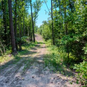 Photo #19 of SOLD property in Off McLean Chapel Church Rd, Bunnlevel, NC 37.4 acres