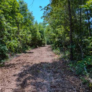 Photo #20 of SOLD property in Off McLean Chapel Church Rd, Bunnlevel, NC 37.4 acres