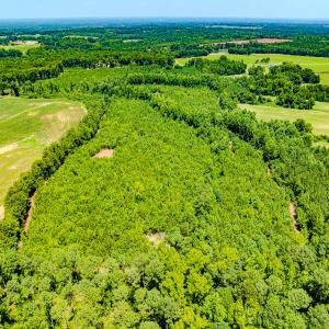Photo #3 of SOLD property in Off McLean Chapel Church Rd, Bunnlevel, NC 37.4 acres