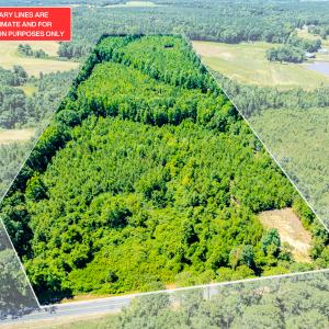 Photo #4 of SOLD property in Off McLean Chapel Church Rd, Bunnlevel, NC 37.4 acres