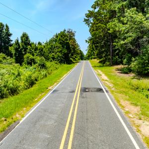 Photo #6 of SOLD property in Off McLean Chapel Church Rd, Bunnlevel, NC 37.4 acres