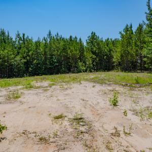 Photo #7 of SOLD property in Off McLean Chapel Church Rd, Bunnlevel, NC 37.4 acres