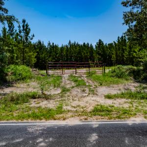 Photo #10 of SOLD property in Off McLean Chapel Church Rd, Bunnlevel, NC 37.4 acres