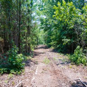 Photo #11 of SOLD property in Off McLean Chapel Church Rd, Bunnlevel, NC 37.4 acres