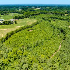 Photo #22 of SOLD property in Off McLean Chapel Church Rd, Bunnlevel, NC 37.4 acres