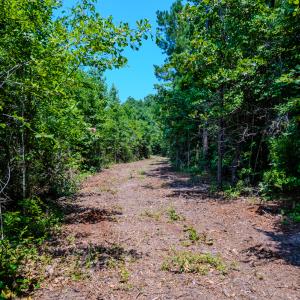 Photo #24 of SOLD property in Off McLean Chapel Church Rd, Bunnlevel, NC 37.4 acres