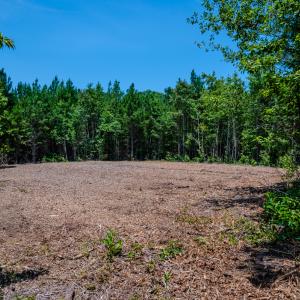 Photo #25 of SOLD property in Off McLean Chapel Church Rd, Bunnlevel, NC 37.4 acres
