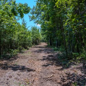 Photo #26 of SOLD property in Off McLean Chapel Church Rd, Bunnlevel, NC 37.4 acres