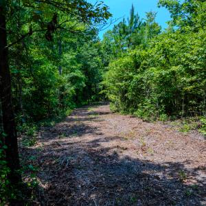 Photo #27 of SOLD property in Off McLean Chapel Church Rd, Bunnlevel, NC 37.4 acres