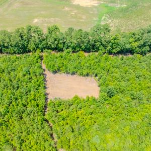 Photo #28 of SOLD property in Off McLean Chapel Church Rd, Bunnlevel, NC 37.4 acres