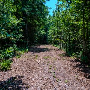Photo #29 of SOLD property in Off McLean Chapel Church Rd, Bunnlevel, NC 37.4 acres