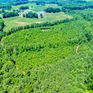 Photo #30 of SOLD property in Off McLean Chapel Church Rd, Bunnlevel, NC 37.4 acres