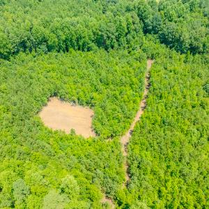 Photo #32 of SOLD property in Off McLean Chapel Church Rd, Bunnlevel, NC 37.4 acres