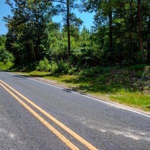 Photo #35 of SOLD property in Off McLean Chapel Church Rd, Bunnlevel, NC 37.4 acres