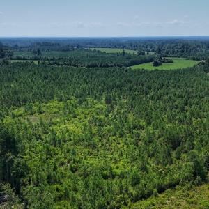 Photo #2 of SOLD property in Off Bowen Blanks Drive, Rieglewood, NC 4.2 acres