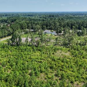 Photo #10 of SOLD property in Off Bowen Blanks Drive, Rieglewood, NC 4.2 acres