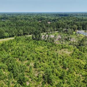 Photo #11 of SOLD property in Off Bowen Blanks Drive, Rieglewood, NC 4.2 acres