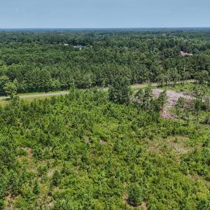 Photo #12 of SOLD property in Off Bowen Blanks Drive, Rieglewood, NC 4.2 acres