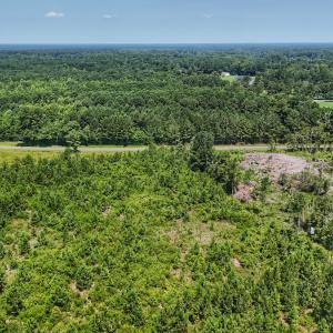 Photo #14 of SOLD property in Off Bowen Blanks Drive, Rieglewood, NC 4.2 acres