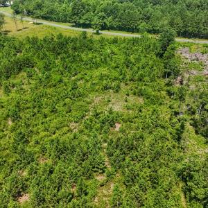 Photo #15 of SOLD property in Off Bowen Blanks Drive, Rieglewood, NC 4.2 acres