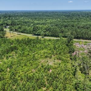 Photo #16 of SOLD property in Off Bowen Blanks Drive, Rieglewood, NC 4.2 acres