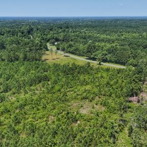 Photo #17 of SOLD property in Off Bowen Blanks Drive, Rieglewood, NC 4.2 acres