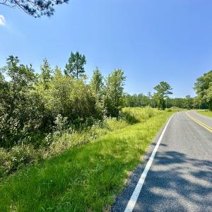 Photo #19 of SOLD property in Off Bowen Blanks Drive, Rieglewood, NC 4.2 acres