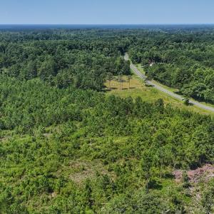 Photo #21 of SOLD property in Off Bowen Blanks Drive, Rieglewood, NC 4.2 acres