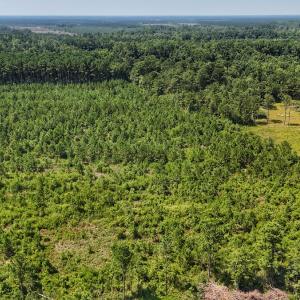 Photo #22 of SOLD property in Off Bowen Blanks Drive, Rieglewood, NC 4.2 acres