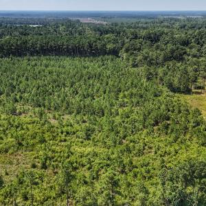 Photo #23 of SOLD property in Off Bowen Blanks Drive, Rieglewood, NC 4.2 acres