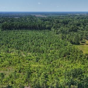 Photo #24 of SOLD property in Off Bowen Blanks Drive, Rieglewood, NC 4.2 acres