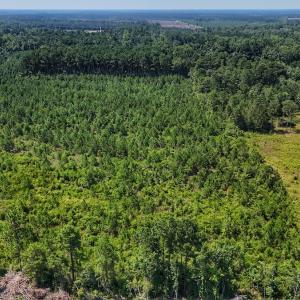 Photo #25 of SOLD property in Off Bowen Blanks Drive, Rieglewood, NC 4.2 acres