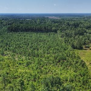 Photo #26 of SOLD property in Off Bowen Blanks Drive, Rieglewood, NC 4.2 acres
