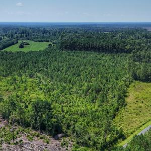 Photo #27 of SOLD property in Off Bowen Blanks Drive, Rieglewood, NC 4.2 acres