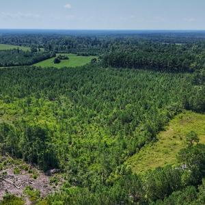 Photo #28 of SOLD property in Off Bowen Blanks Drive, Rieglewood, NC 4.2 acres